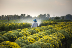 farming